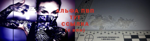 PSILOCYBIN Балахна