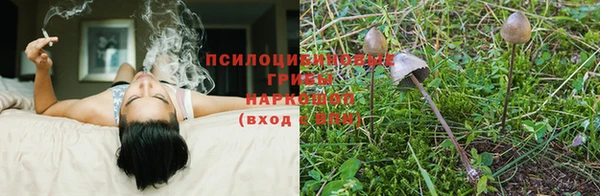 мет Армянск